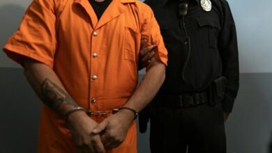 fraud investigation defense branch