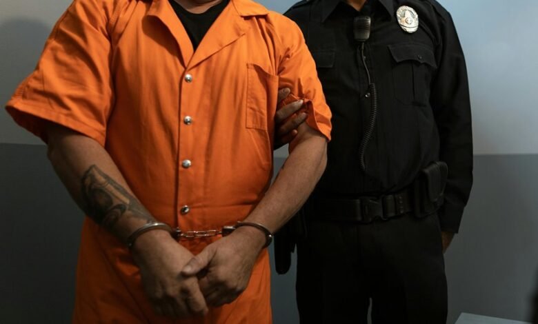 fraud investigation defense branch