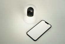 intelligence oversight council numbers