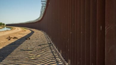 contact numbers for division